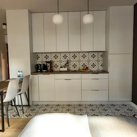 Ferro Apartment- 9 Min Walk To Old Town * Poznań
